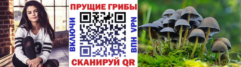 Псилоцибиновые грибы Cubensis  MEGA tor  Кызыл  наркота 
